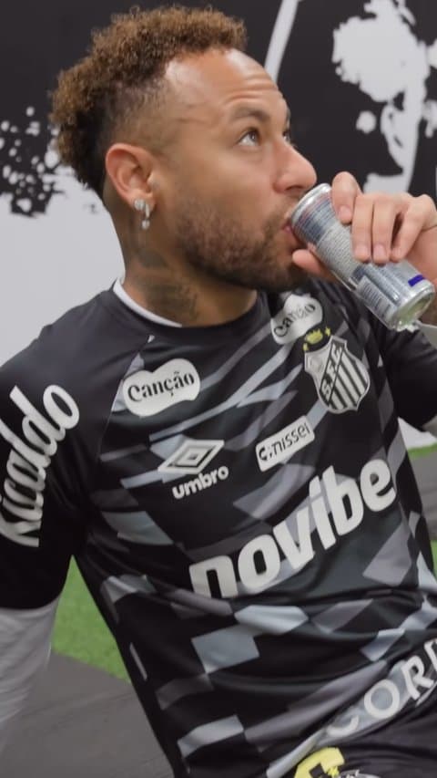 Corte vertical real nº 6 gerado a partir do vídeo de exemplo